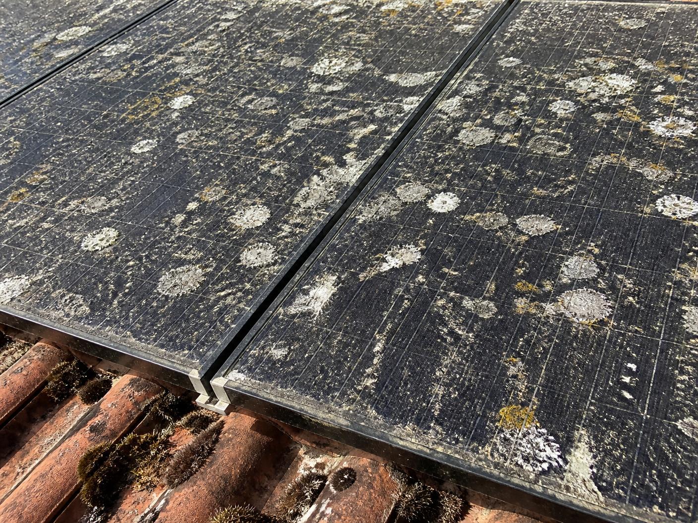 Panneaux solaires encrassés par la poussière et le lichen